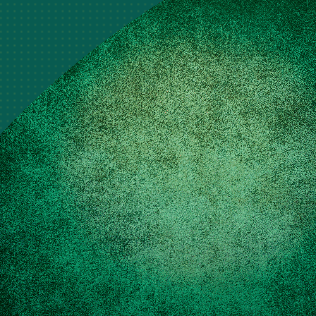 URSB_Social-Vers1-Shopping Animated Banner