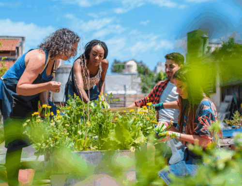 URSB in Action: Our Community Impact Story