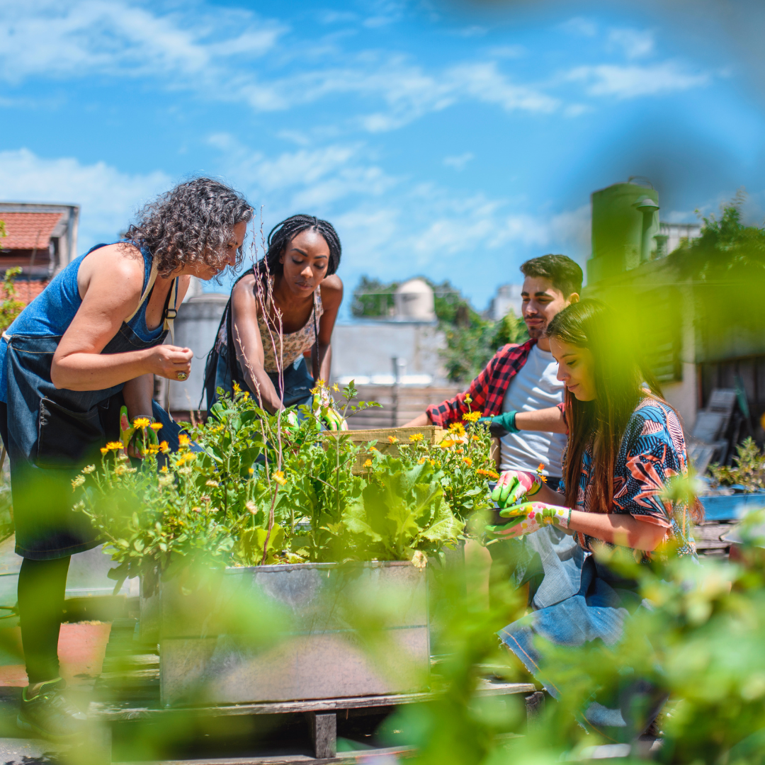 Community Impact